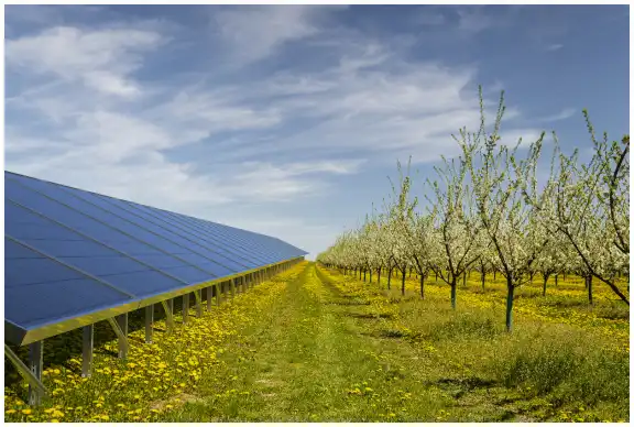Solar power farm.