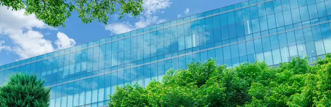 The facade of an office glass building with trees.