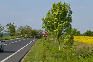 Teleorman chargers Road that passes through a plain area with agricultural fields.