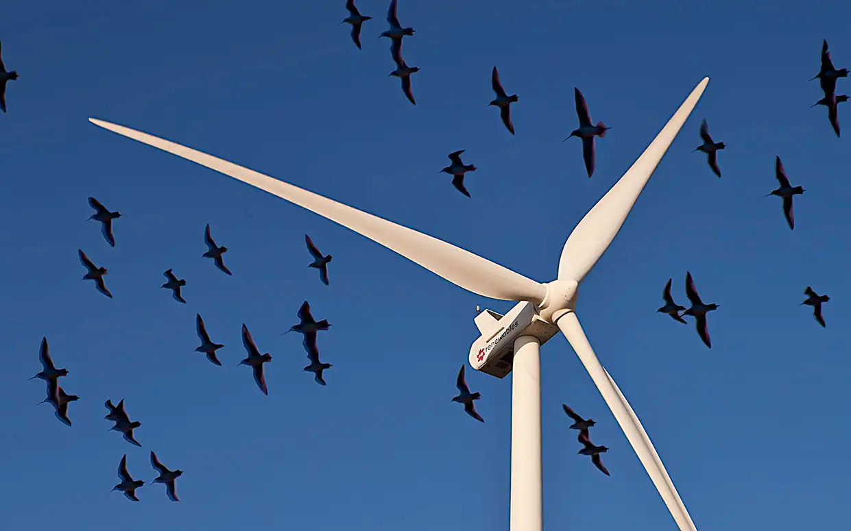 Wind turbine with blue sky as background and birds flying above it.