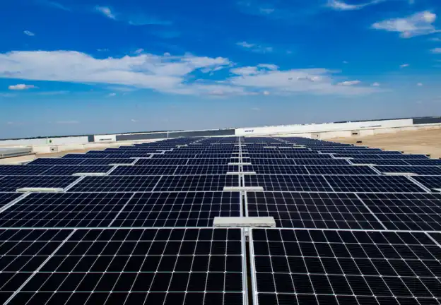 Solar panels in solar farm